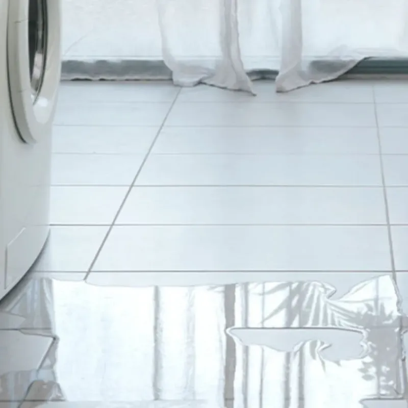 Appliance Leak Cleanup in Diboll, TX