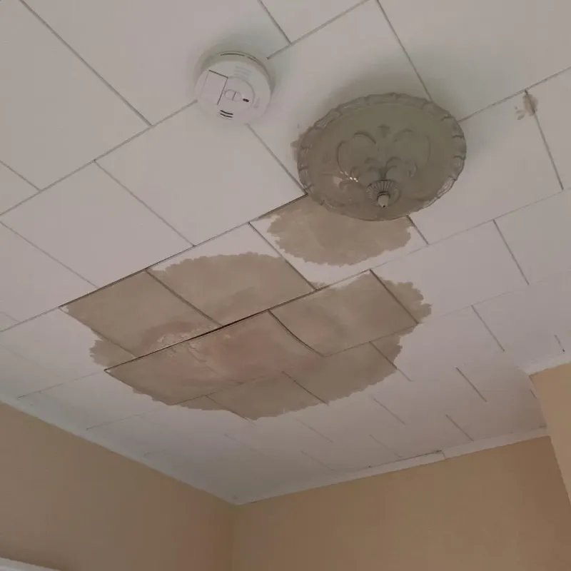 Ceiling Water Damage Repair in Diboll, TX